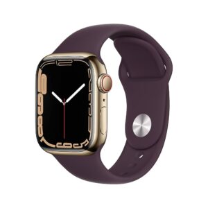 Apple Watch Series 7 Stainless Steel 41mm GPS + Cellular