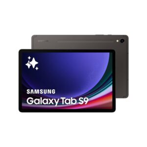 Samsung Galaxy Tab S9 Wi-Fi 12 RAM 256GB
